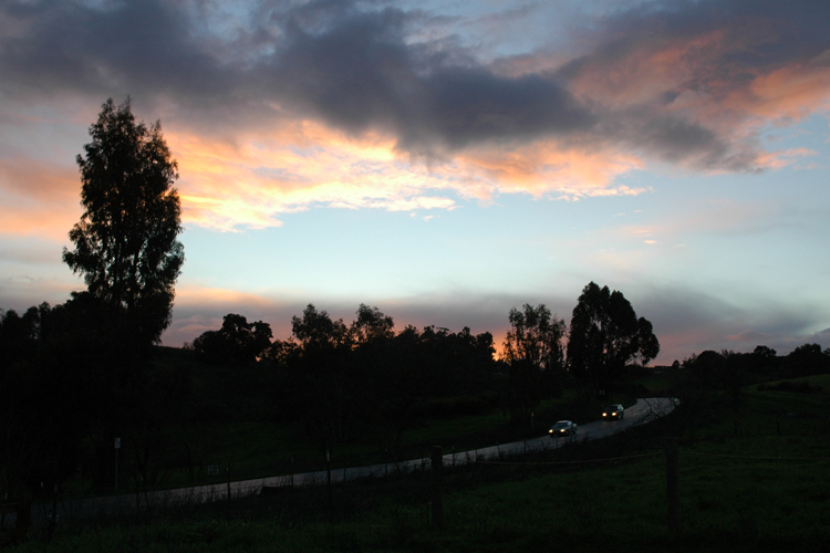 sunset