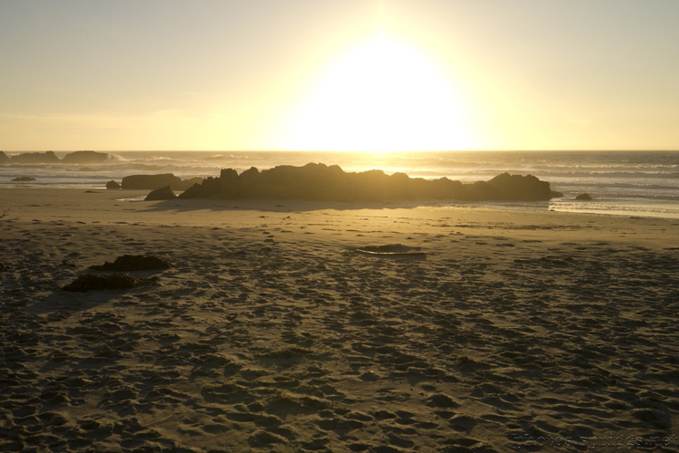 beached light