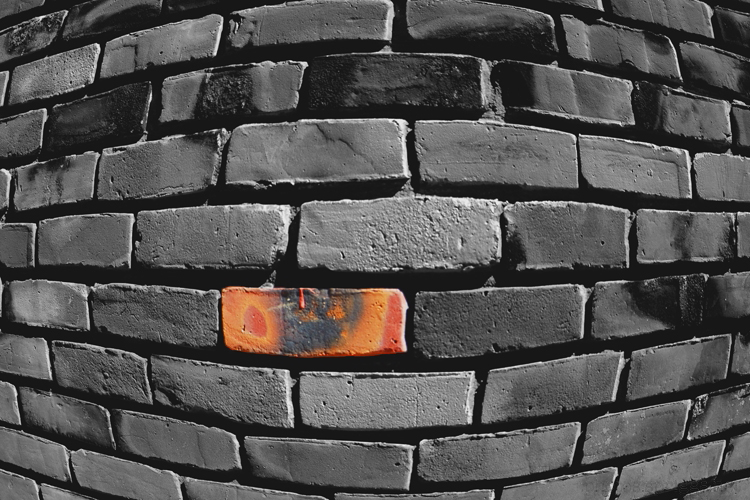 bricks