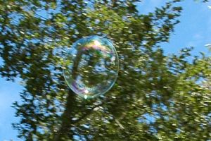 bubbles and trees