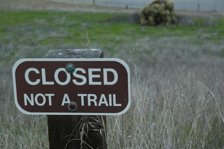 bureaucracy in nature