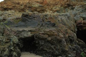rocks and lichen