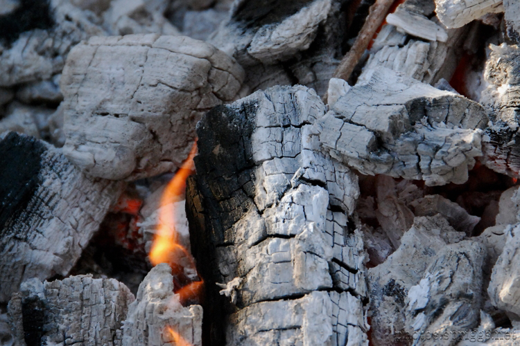 coals