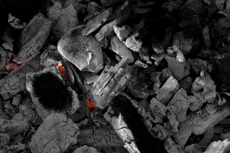 coals