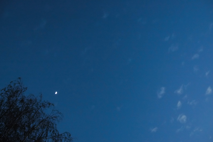 dappled sky and moon