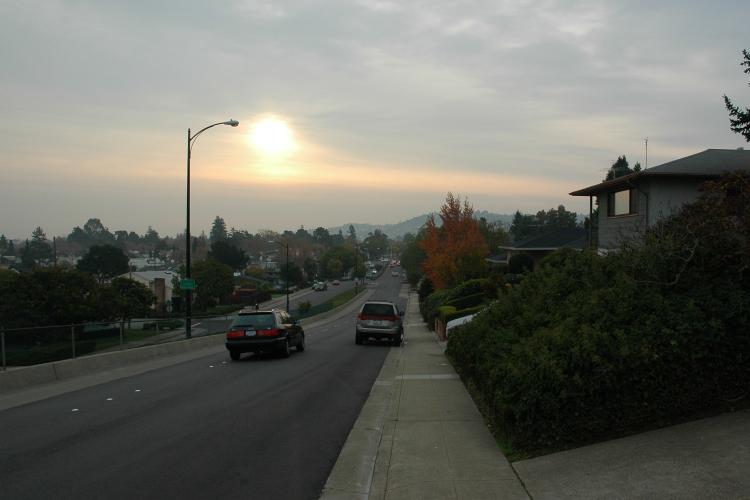 autumn morning on flea street