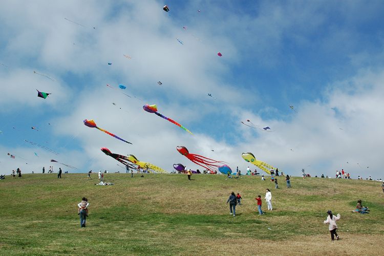 kite festival