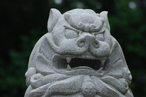 狛犬 (komainu - lion-dog)