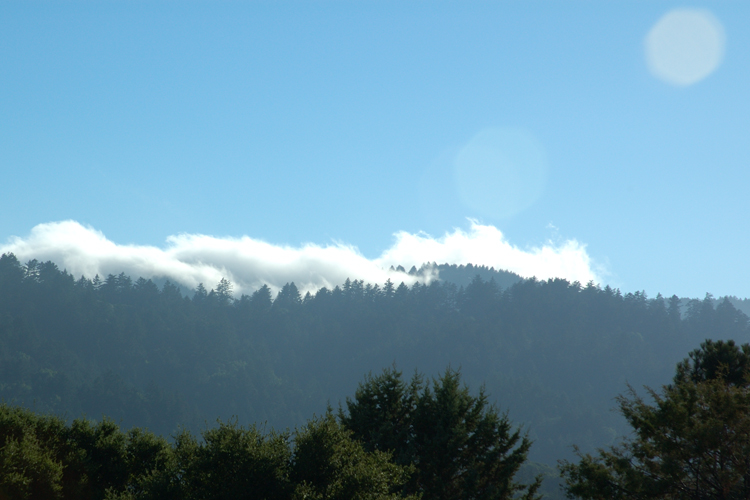 marine layer