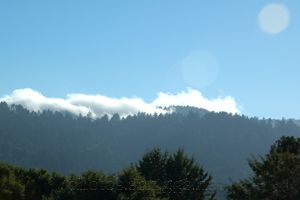 marine layer