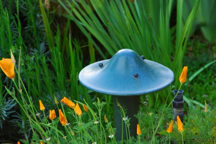 mechanical mushroom