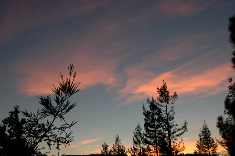 pink sky