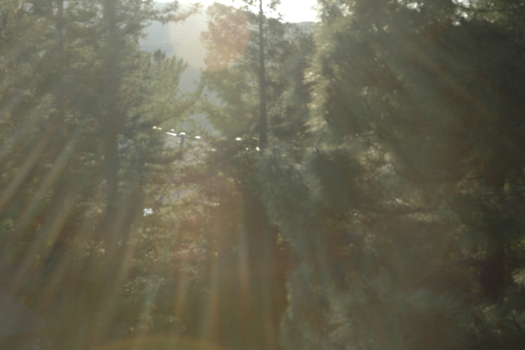 rays