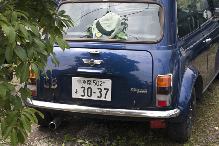 a real&trade; mini