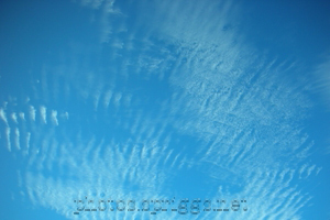 rippled sky