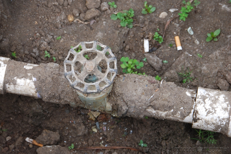 spigot