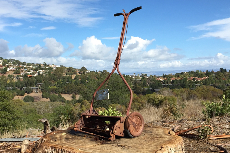 stump mowing