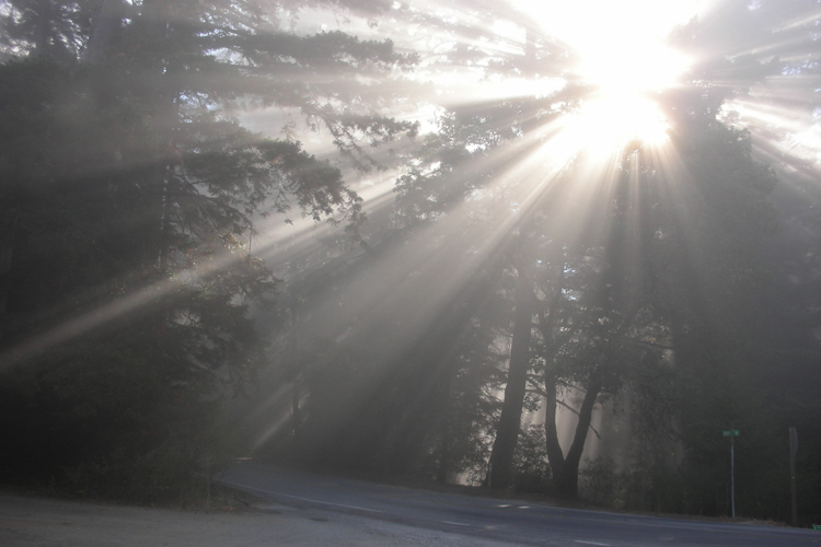 sunstreaks through fog