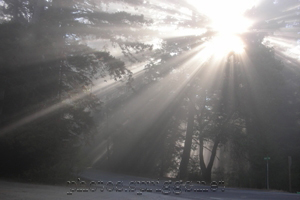 sunstreaks through fog