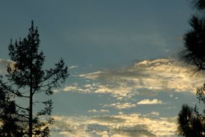 sun rays