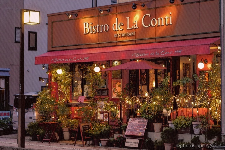 have some fake french food tacky bistro