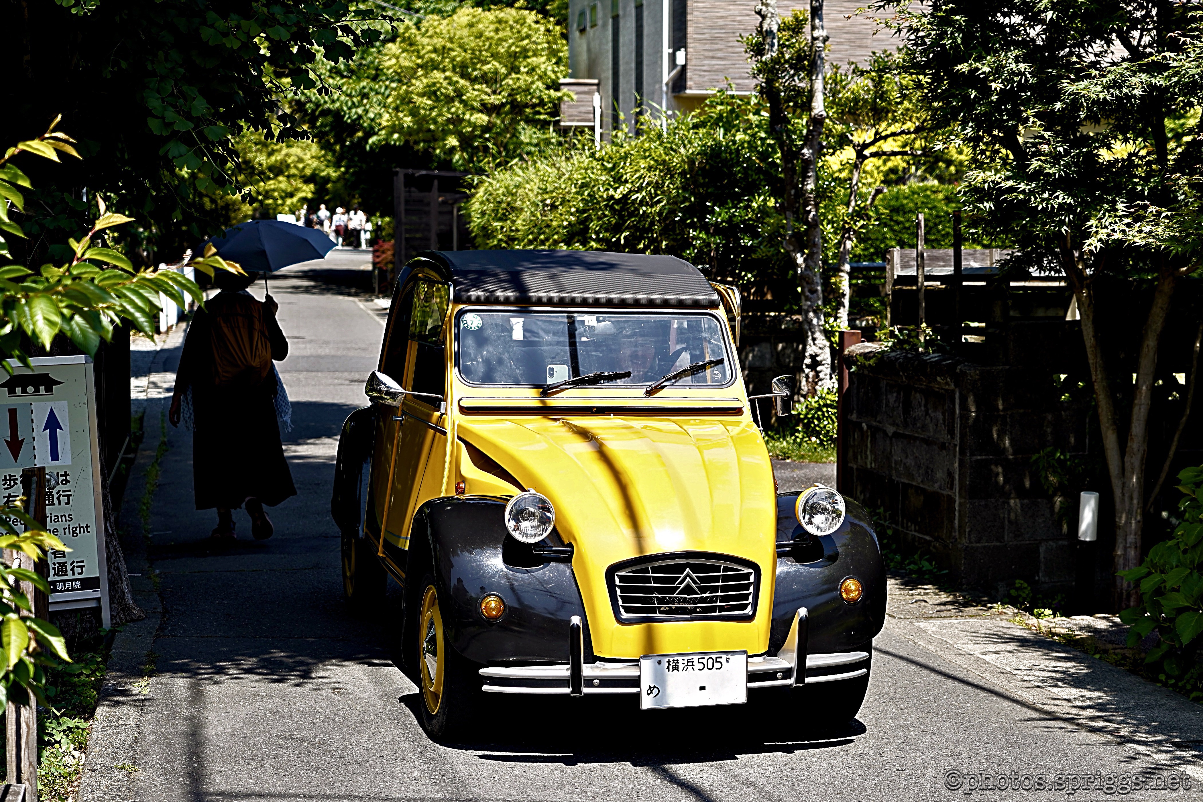 deux chevaux