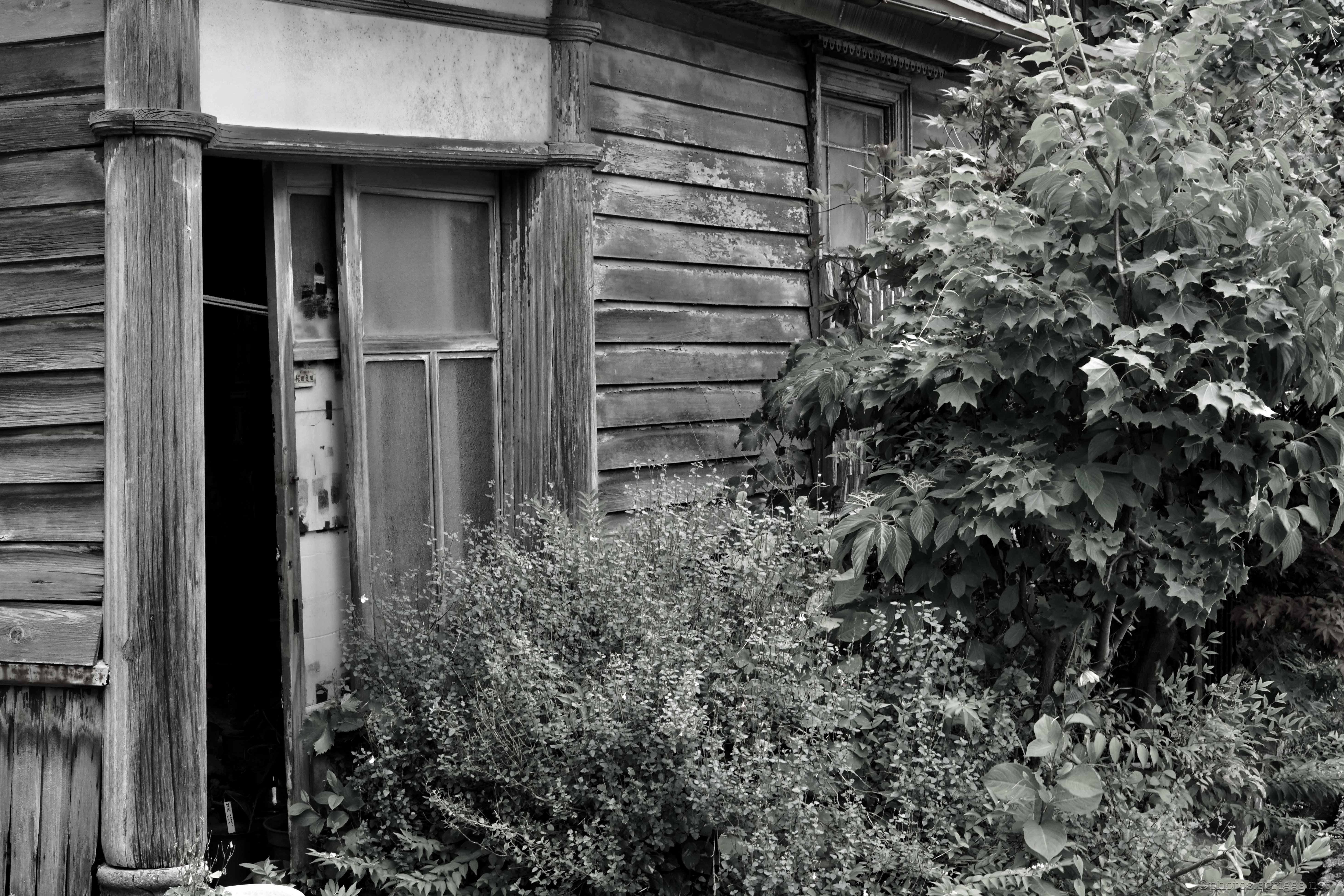 decrepit door