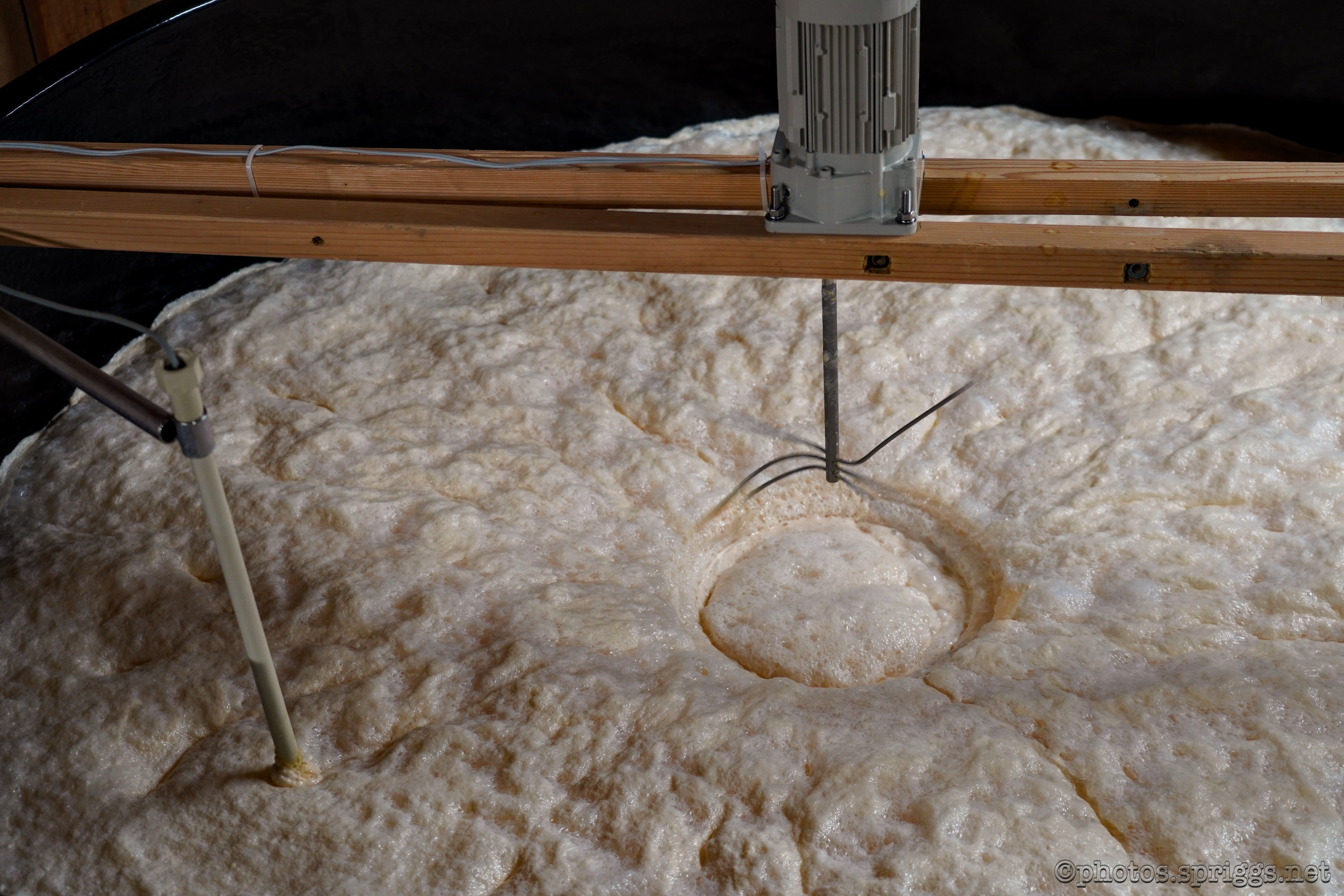 foaming yeast