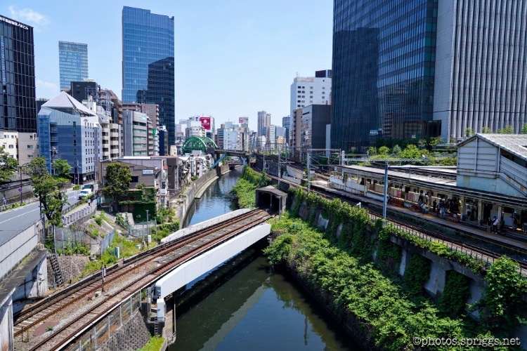 聖橋