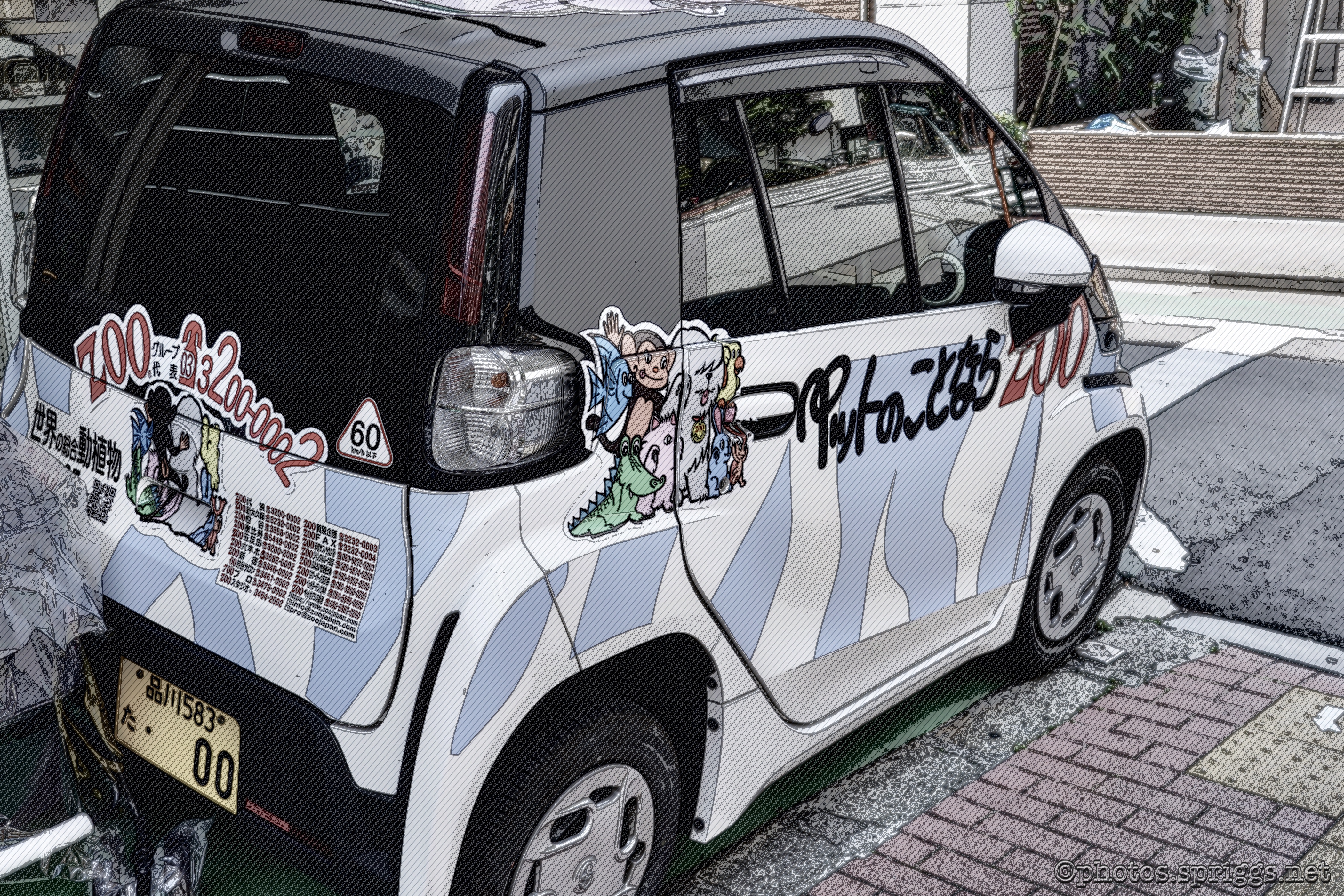 pet car