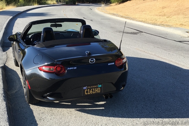 sunny roadster