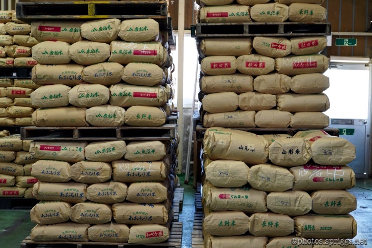 sake rice (酒米)