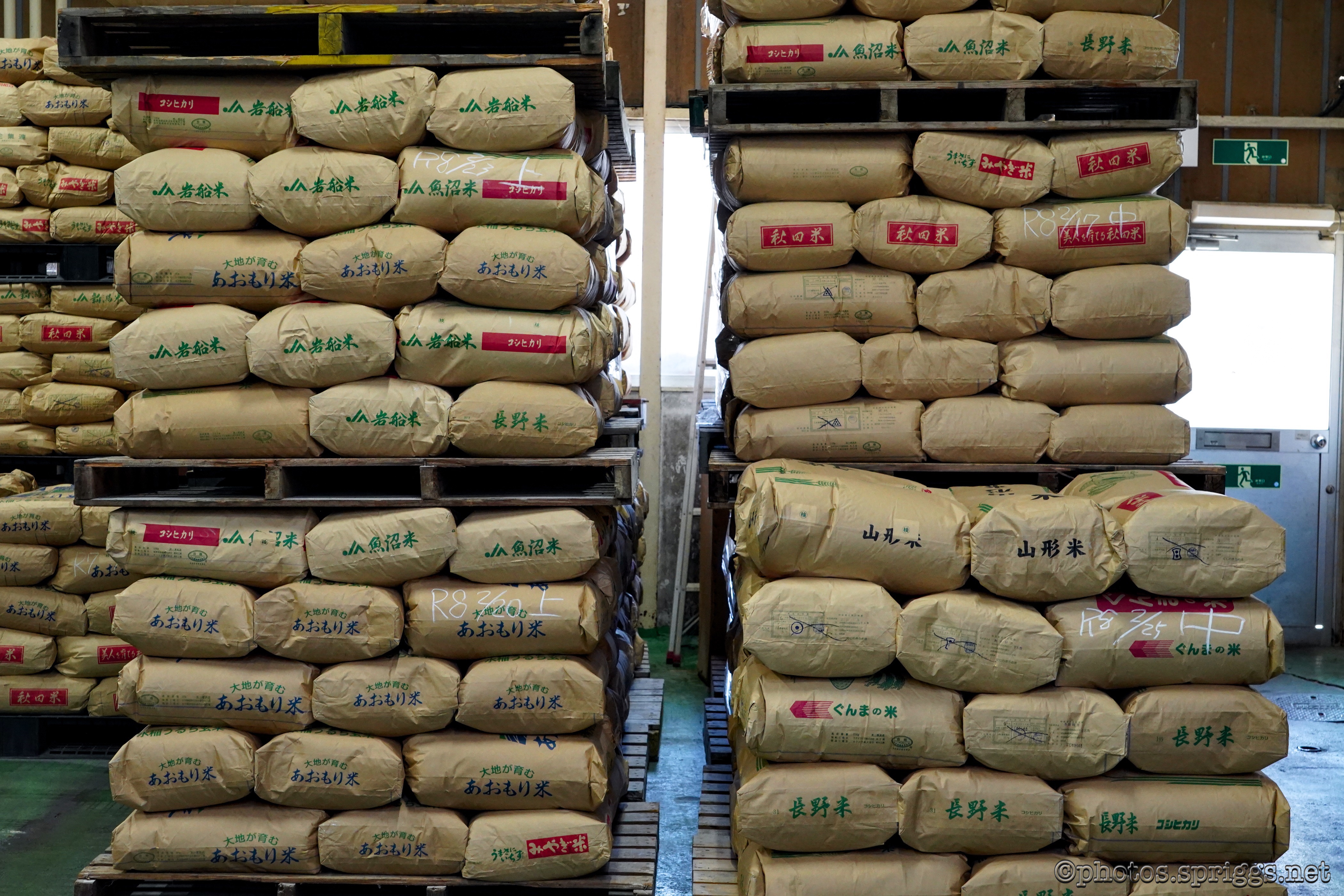 sake rice (酒米)