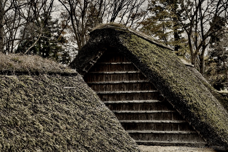 thatched