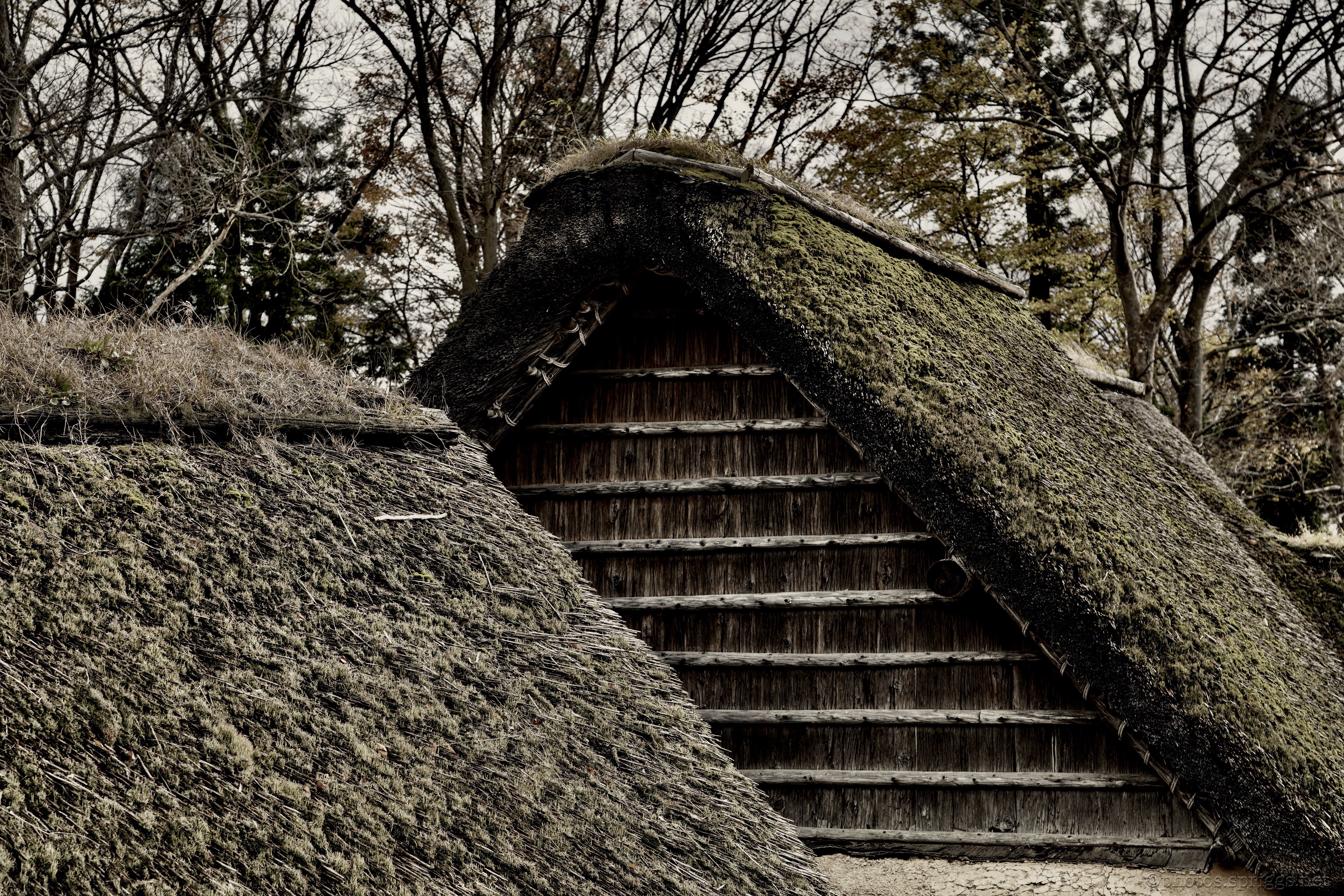 thatched
